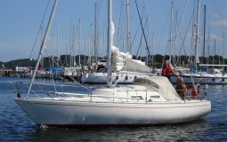 DSC02794.jpg